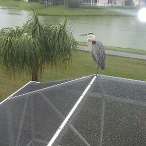 Meet your Posher, Stanley